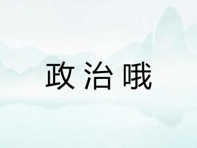 政治哦