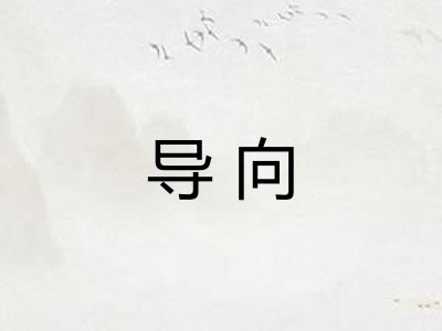 导向