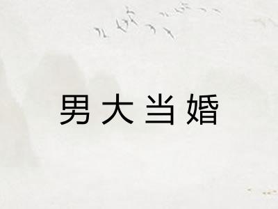 男大当婚