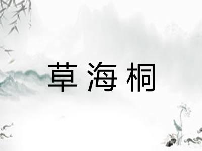 草海桐 草海桐