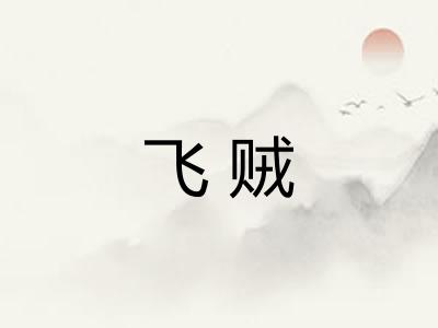 飞贼