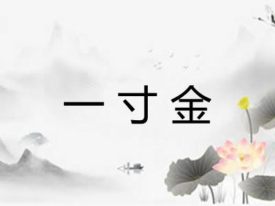 一寸金
