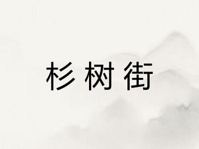 杉树街