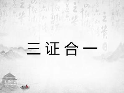 三证合一