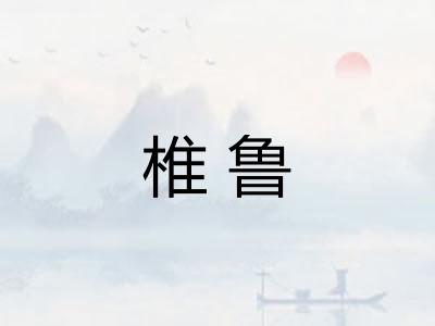 椎鲁
