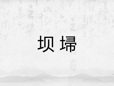 坝埽