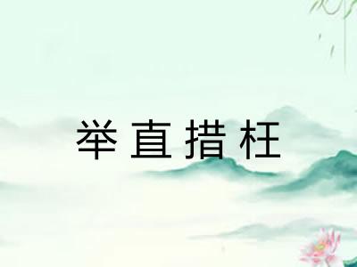 举直措枉 举直措枉
