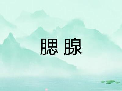 腮腺
