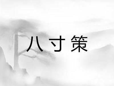 八寸策