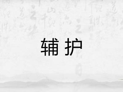 辅护