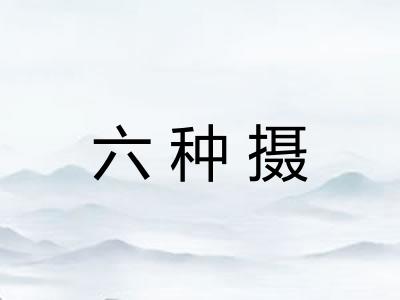 六种摄
