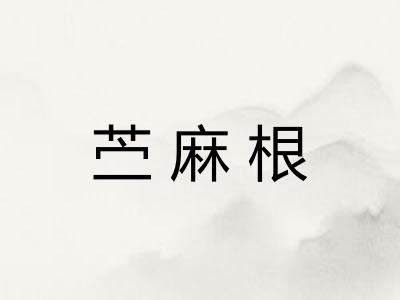 苎麻根