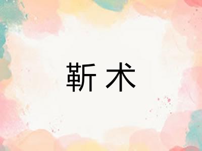 靳术