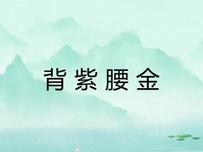 背紫腰金