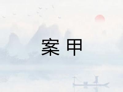 案甲