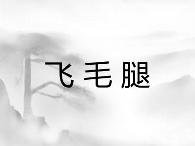 飞毛腿