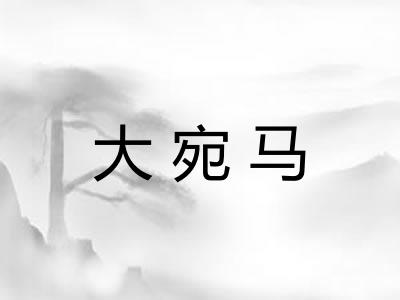 大宛马