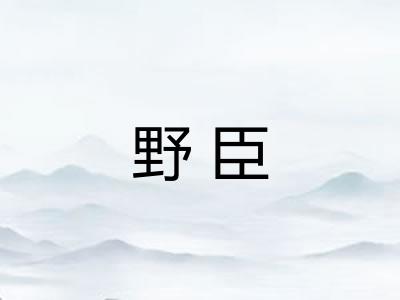 野臣