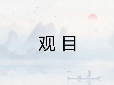 观目