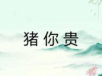 猪你贵