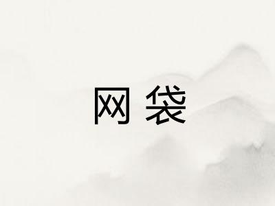 网袋