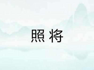 照将