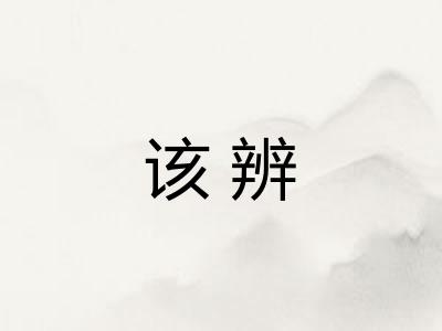 该辨