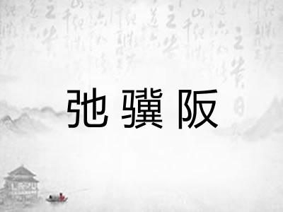 弛骥阪