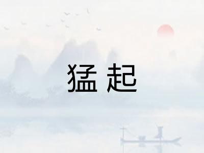 猛起