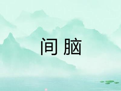 间脑