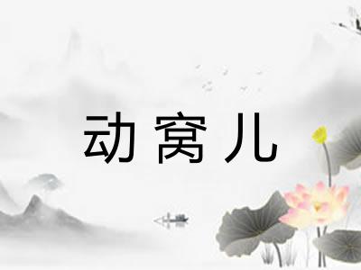动窝儿