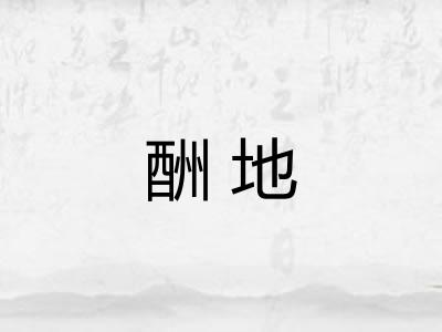 酬地