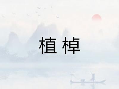 植棹