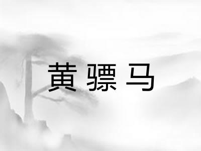 黄骠马