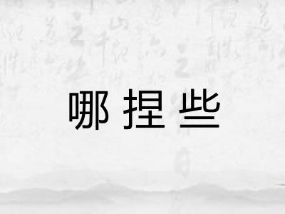 哪捏些