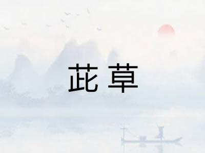茈草