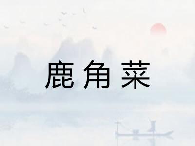 鹿角菜