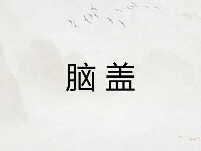脑盖