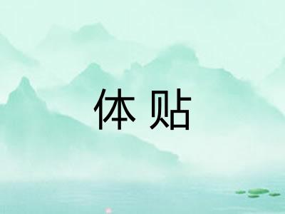 体贴