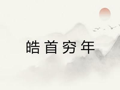 皓首穷年