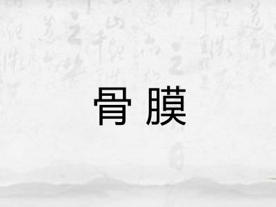 骨膜