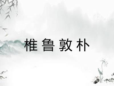 椎鲁敦朴