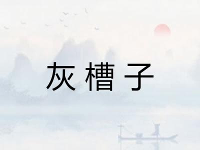 灰槽子