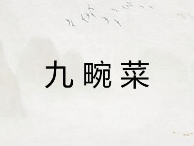 九畹菜