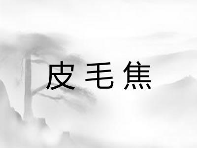 皮毛焦