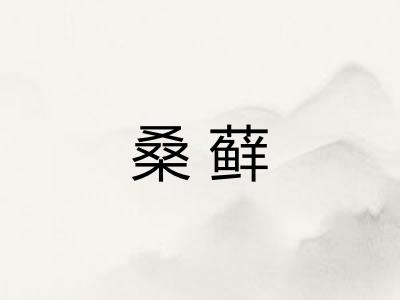 桑藓