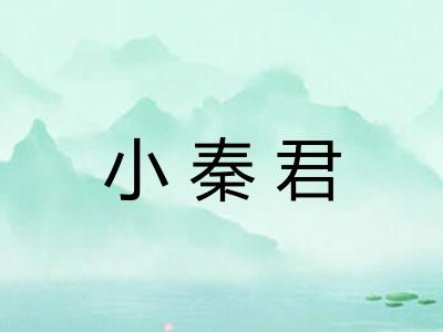小秦君