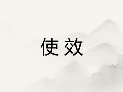 使效