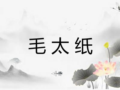 毛太纸