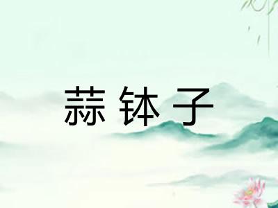 蒜钵子